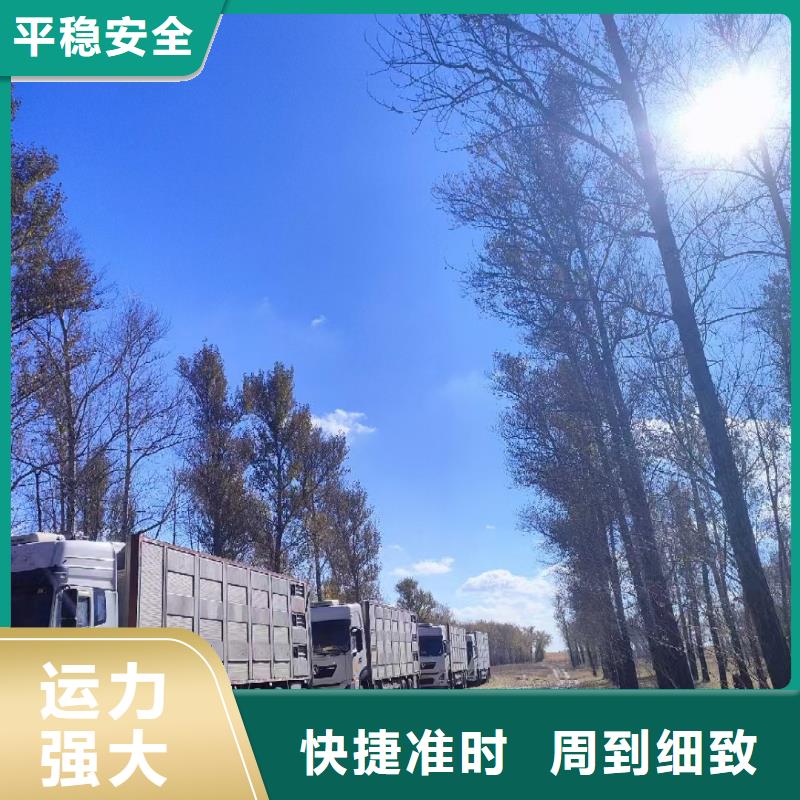 宿迁市到台州生猪空调车运输科学运输