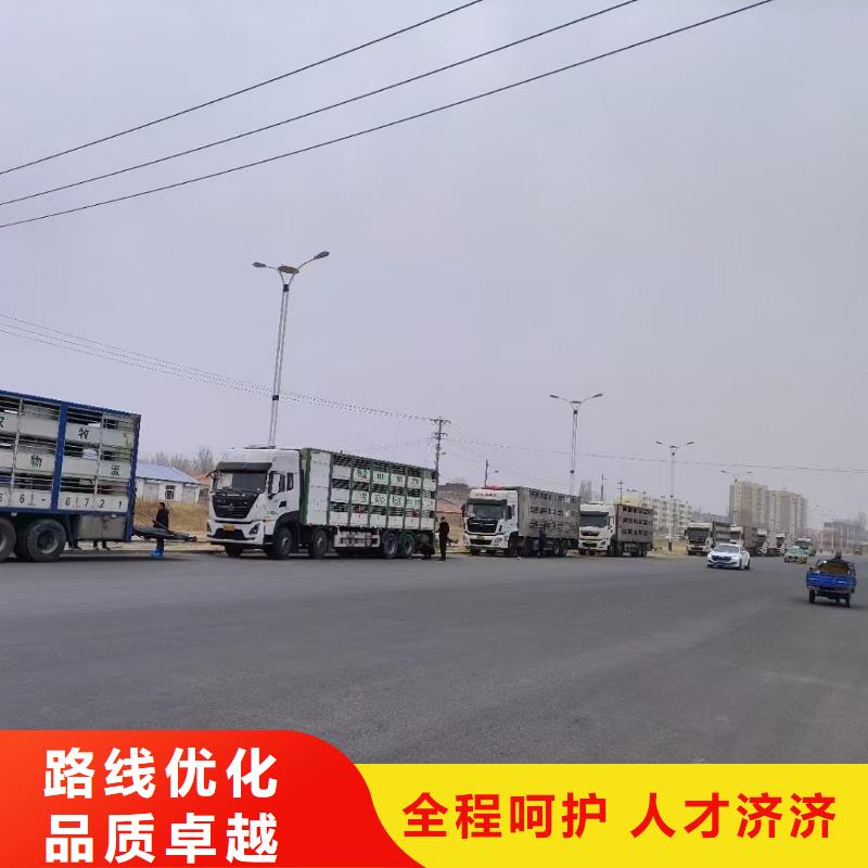 宿迁市到温州高栏车肥猪运输及时送达