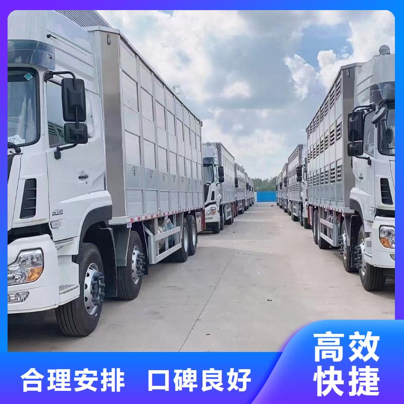 宿迁到温州恒温车运输天天发车
