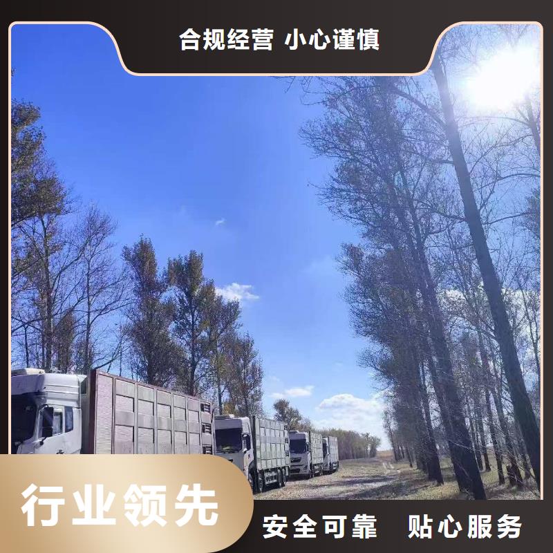 宿遷市沭陽到巢湖牛運輸專用車資源充足