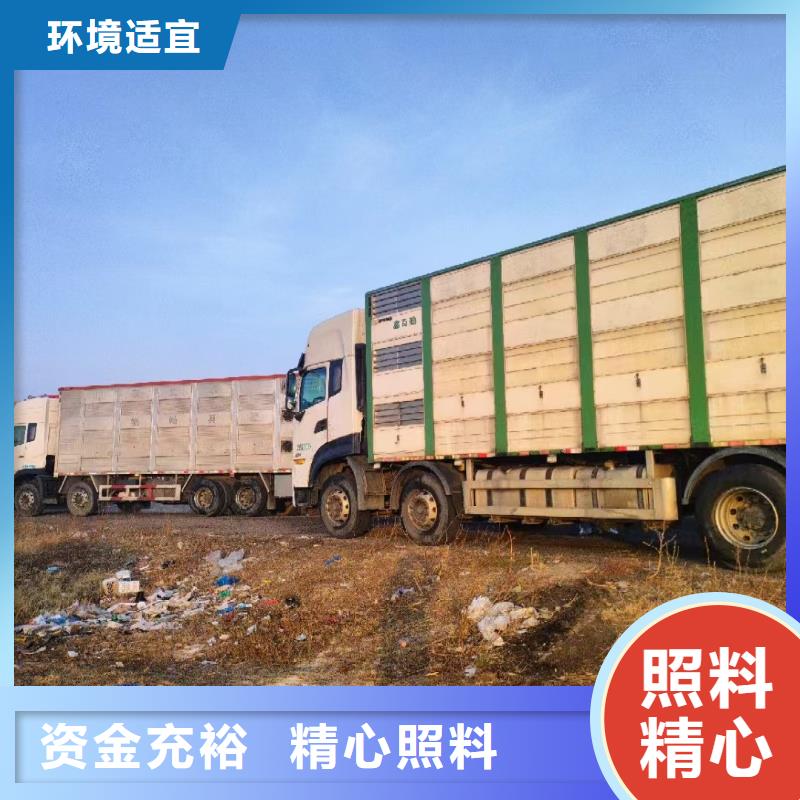 宿遷沭陽(yáng)到奎文生豬恒溫車運(yùn)輸