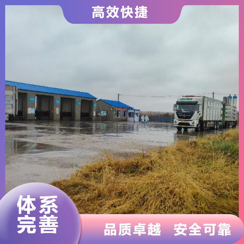 宿遷到洛龍活禽物流區(qū)縣可達(dá)