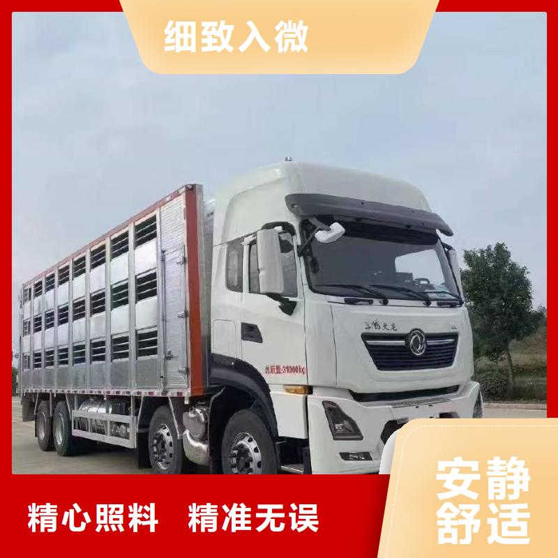 宿迁市泗洪到青岛羊运输专用车信誉卓著