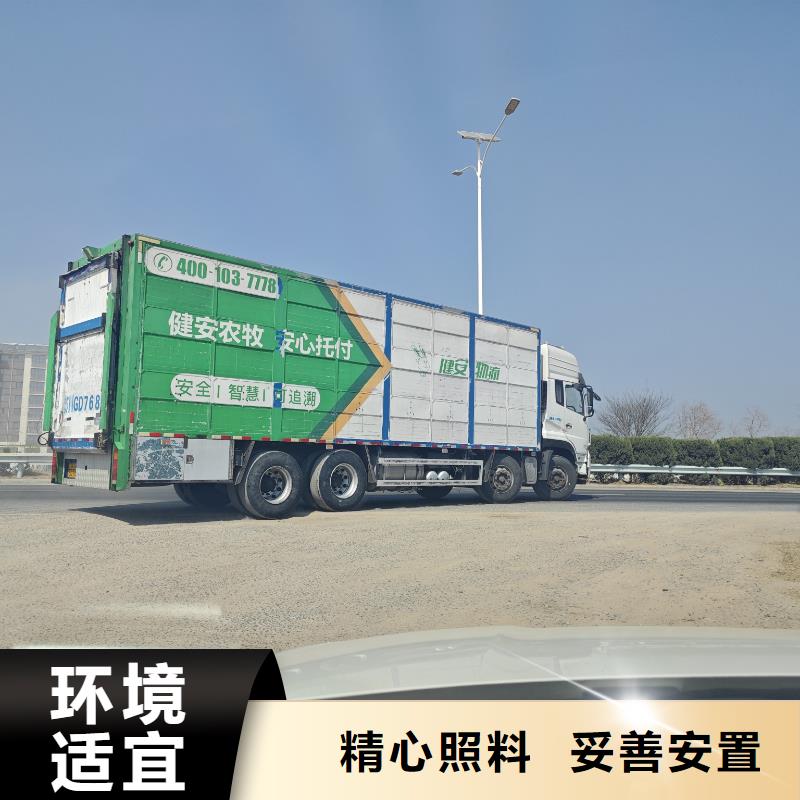 宿遷市到南陽豬只貿易小心謹慎