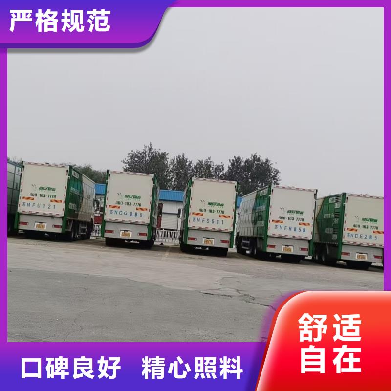 宿迁市泗阳到上海生猪空调车运输小心谨慎