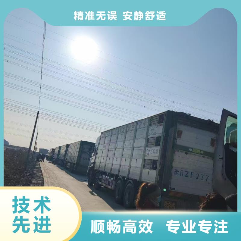 宿遷市泗陽到萊蕪豬籠車物流環境適宜