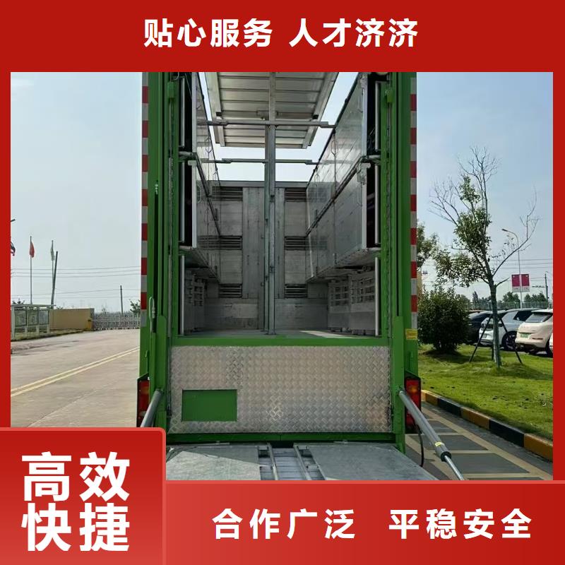 宿遷市泗洪到開封豬籠車物流環境適宜