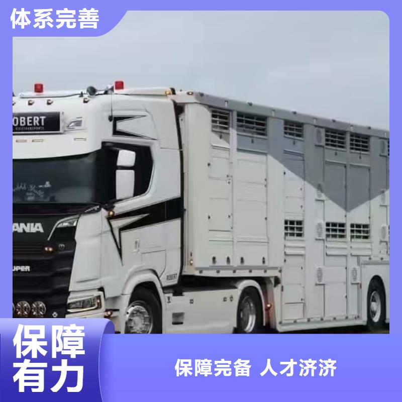 宿遷到膠州羊運輸專用車不倒車