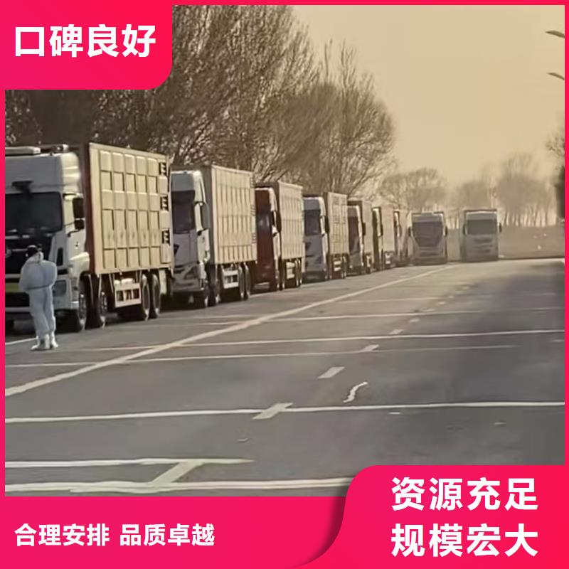 宿迁市泗洪到淮南种猪运输稳妥可靠