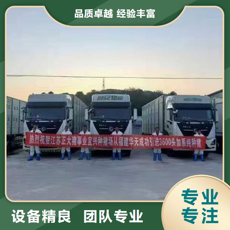 宿迁市泗洪到芜湖牛运输专用车口碑良好