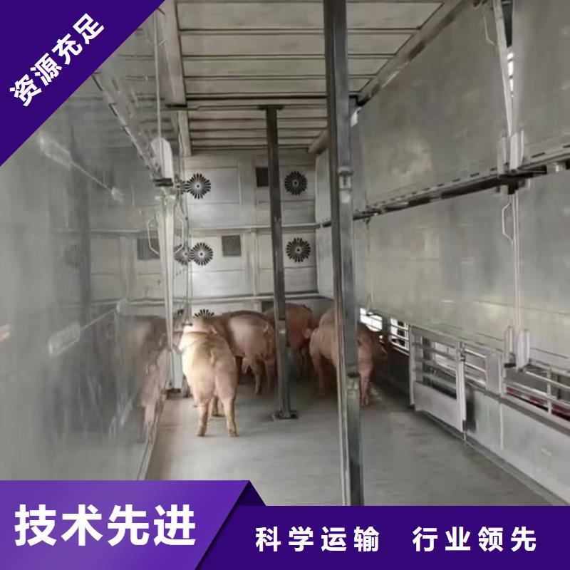宿遷市到紹興牛運(yùn)輸