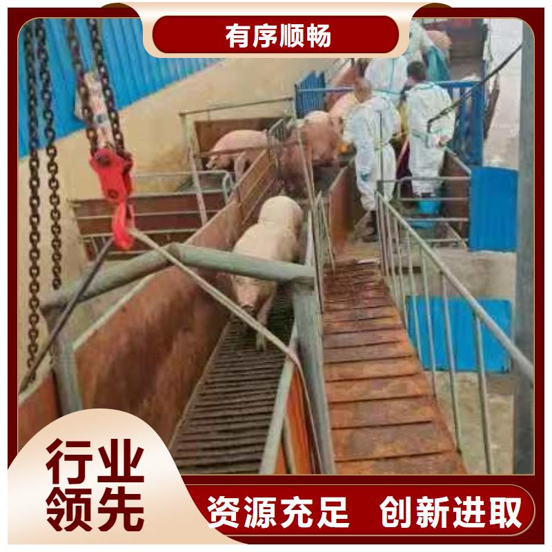 宿迁市沭阳到周口原料运输严格规范