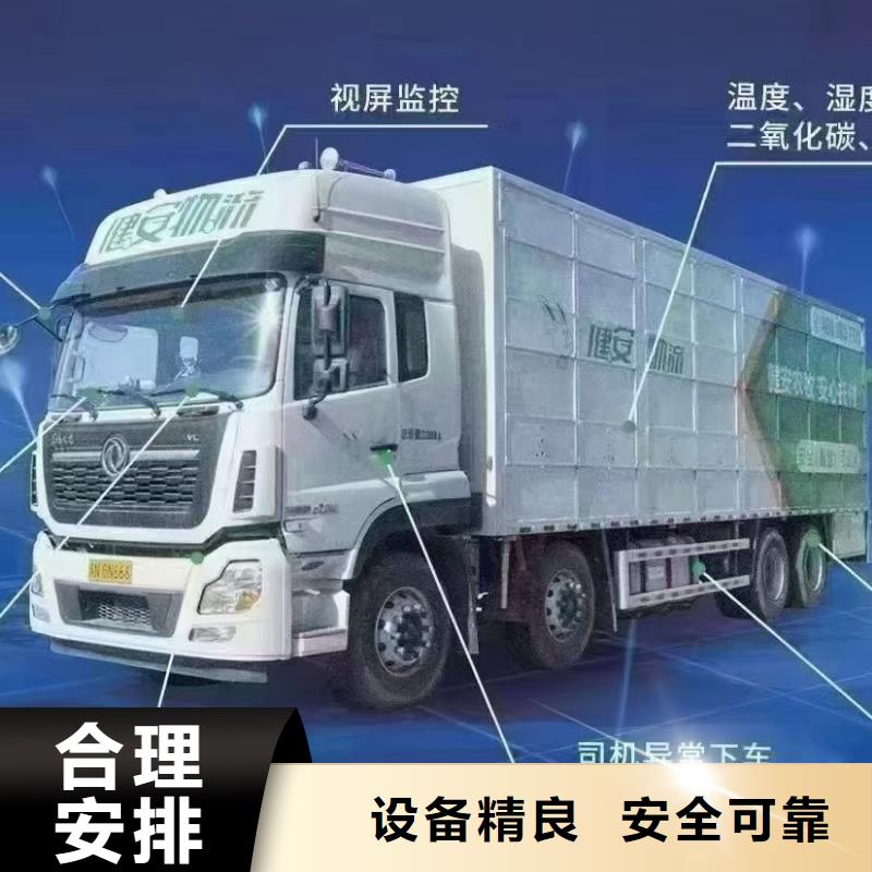 宿遷市泗陽到金華生豬空調車運輸環境適宜