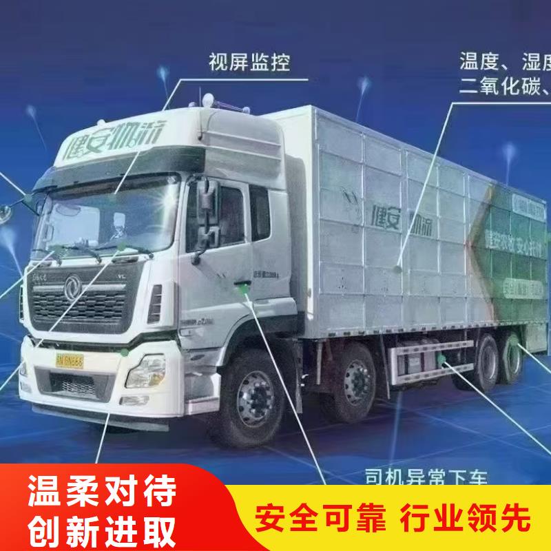 安陽(yáng)到曲靖豬牛羊運(yùn)輸保障有力