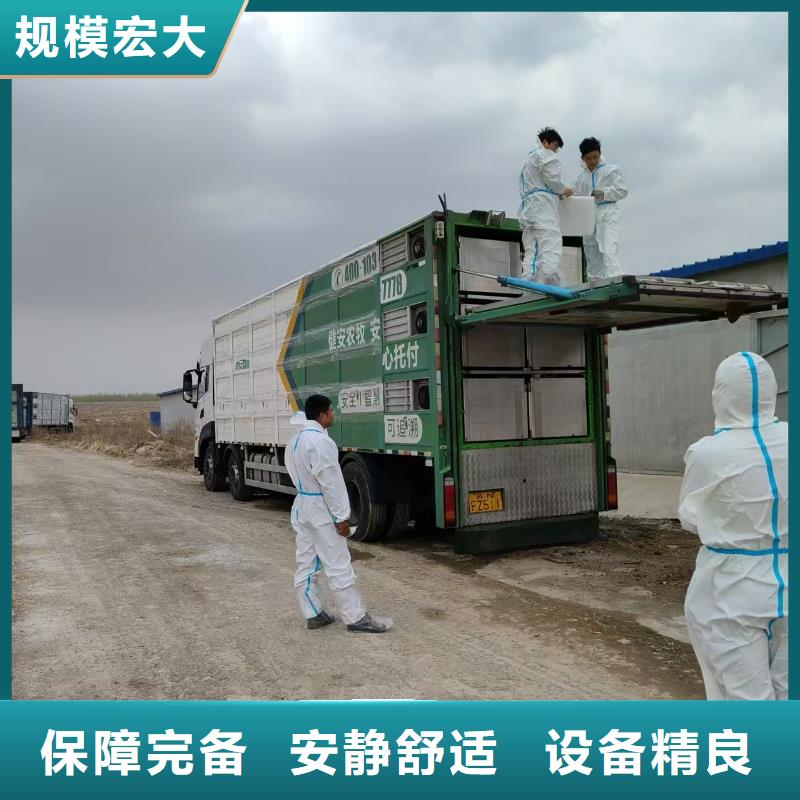 潍坊到来宾猪只运输专用车资源充足