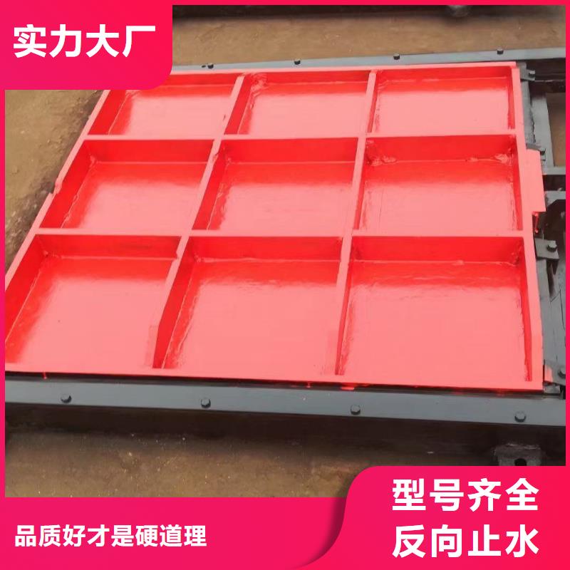 楚雄PZ机闸一体式铸铁闸门价格美丽2*2.5米铸铁闸门PGZ服务至上大库存无缺货危机
