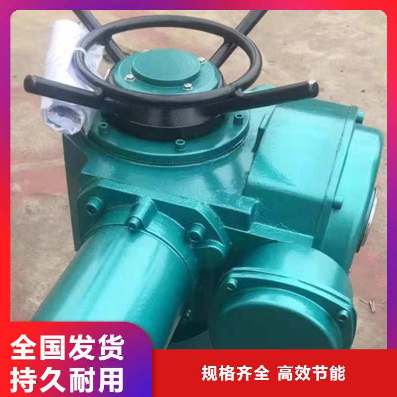 快速卷揚(yáng)式啟閉機(jī)精心打造種類齊全