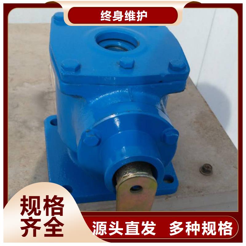 闸门启闭机每一处都是匠心制作质检合格发货