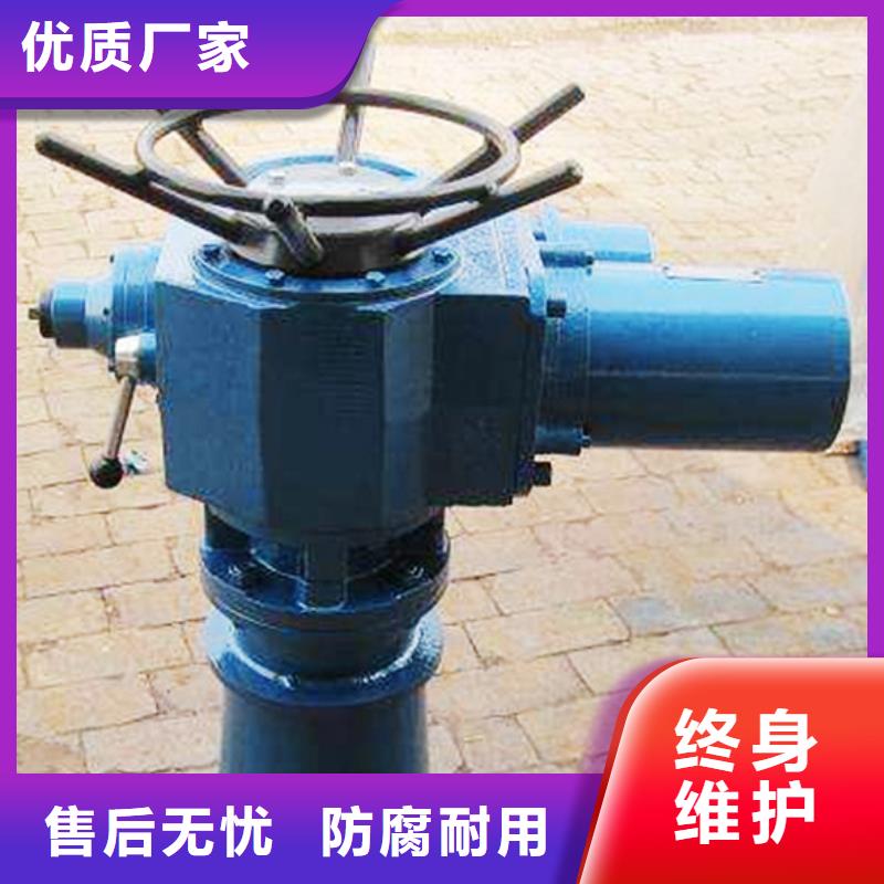 8吨双吊点螺杆启闭机源厂直接供货海禹水利弧形门卷扬式启闭机当地服务商