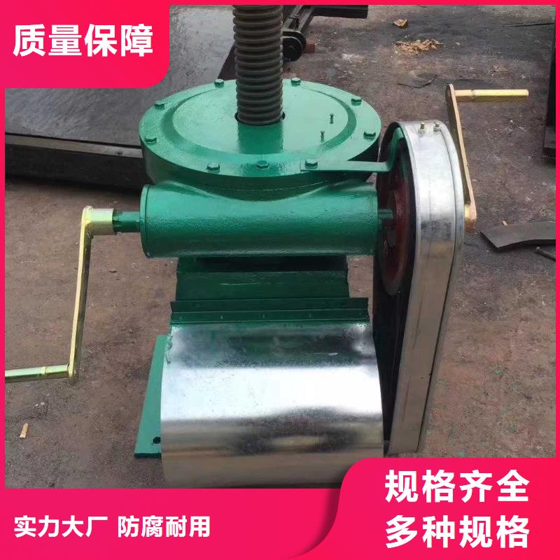 手電兩用啟閉機貨真價實您想要的我們都有