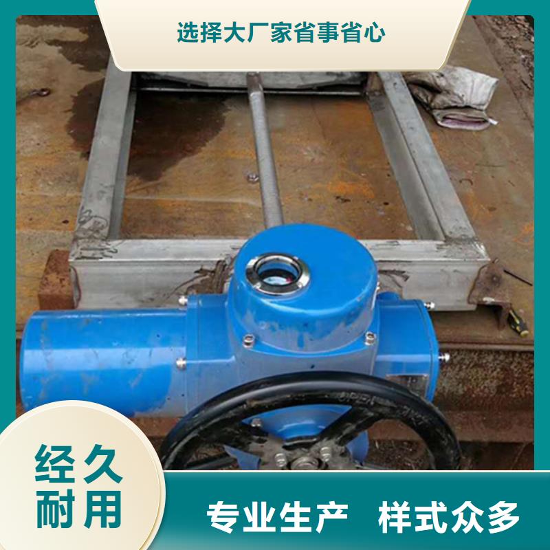 固定卷揚式啟閉機N年生產經驗我們更專業