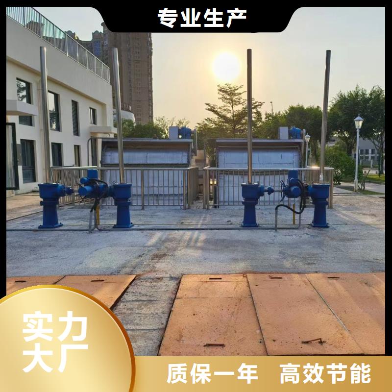 电动头启闭机专业本地厂家值得信赖