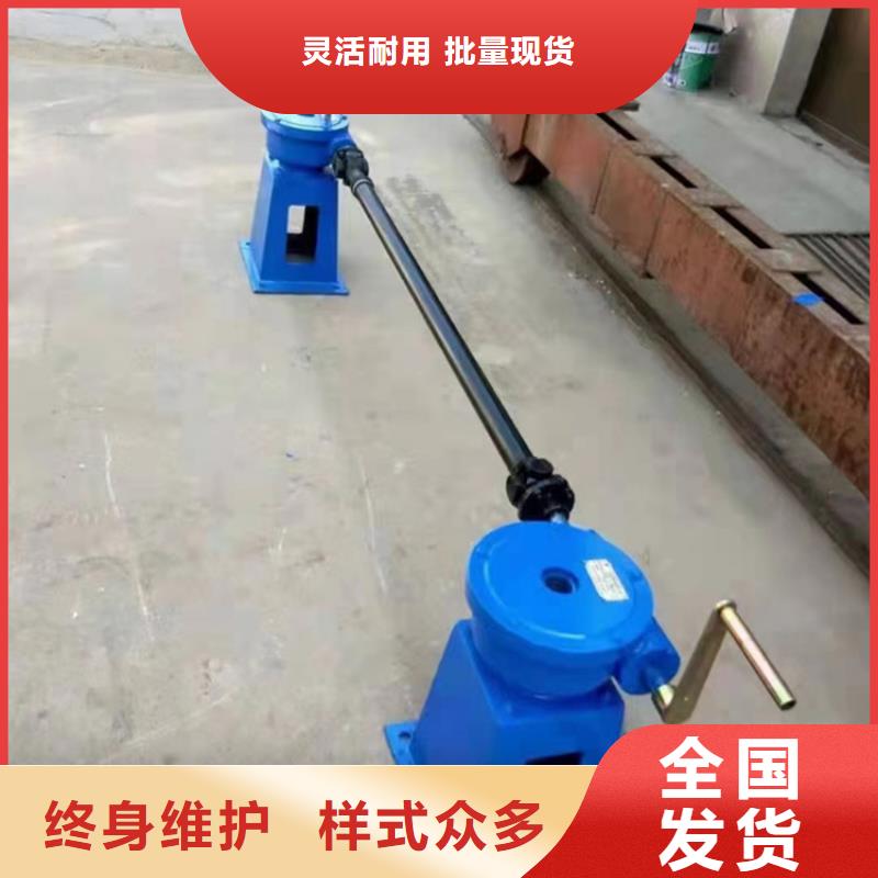 双吊点卷扬式启闭机放心得选择24小时下单发货