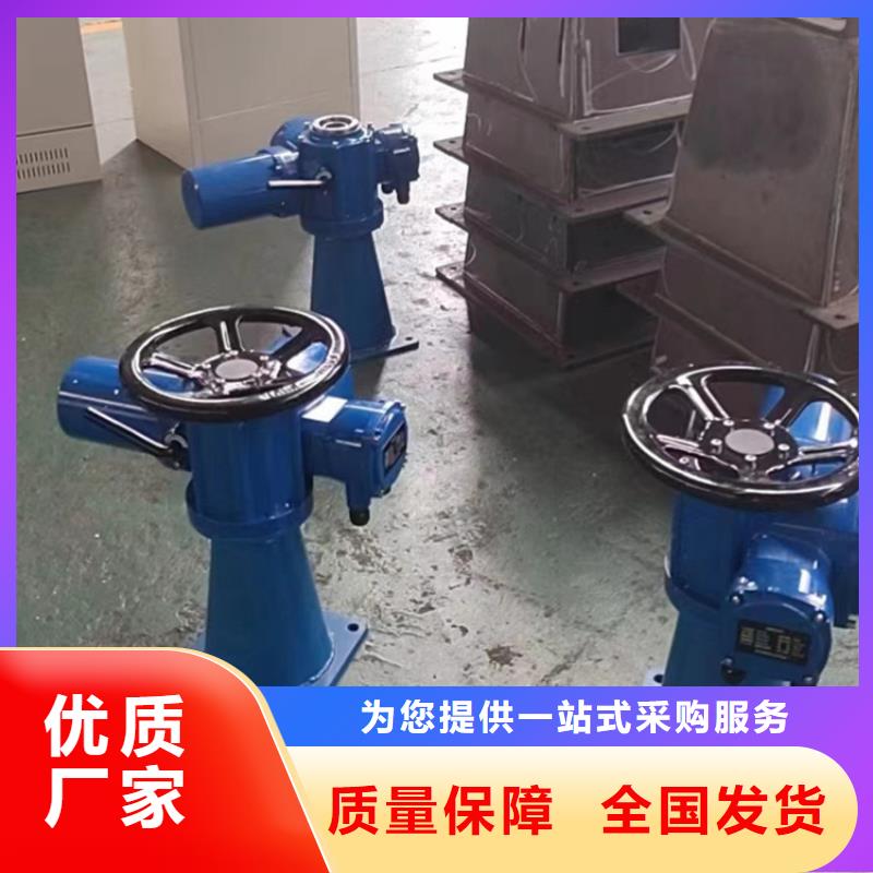 30KN側搖式螺桿啟閉機全品類現貨質量保障水利啟閉機庫存齊全廠家直供
