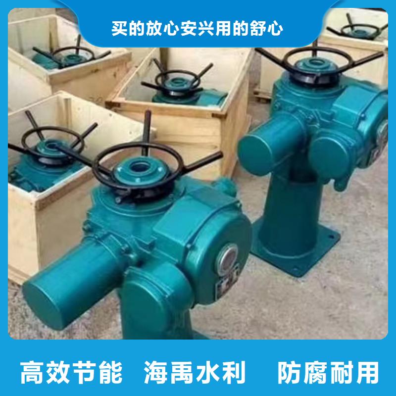 雙吊點卷揚式啟閉機品質保障售后無憂同城服務商