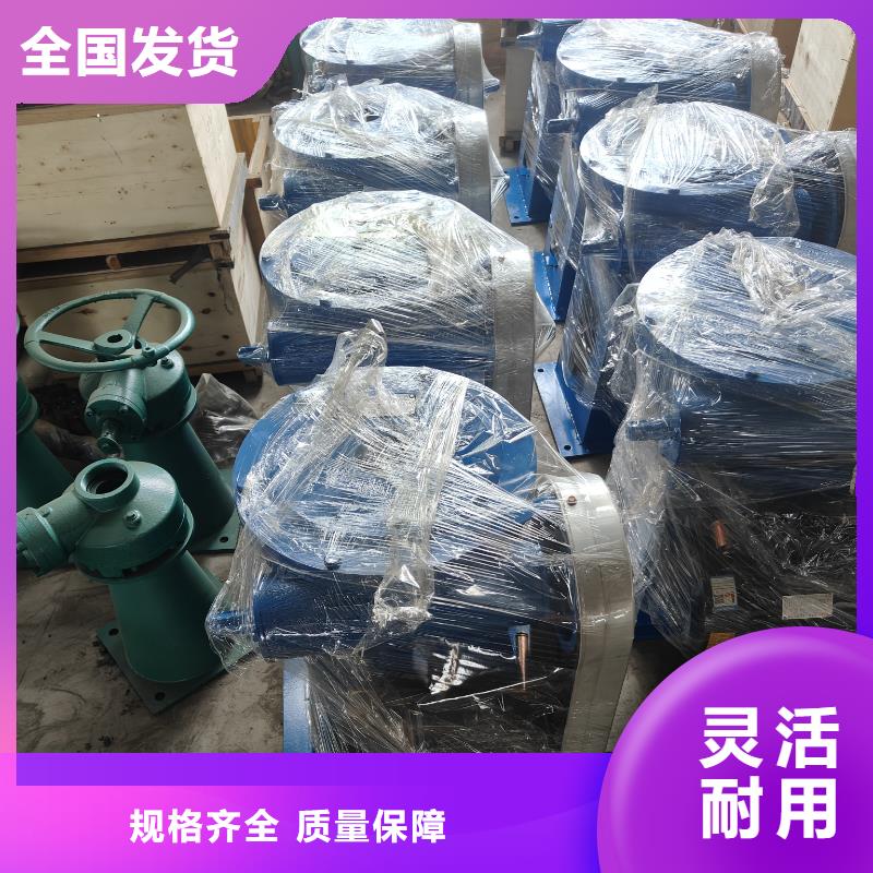 直连式启闭机专注品质本地品牌