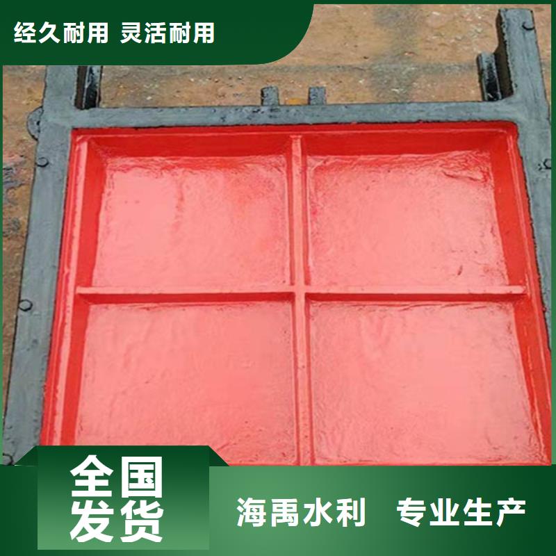 阿拉善拱形鑄鐵閘門購買的是放心好品質(zhì)經(jīng)得住考驗