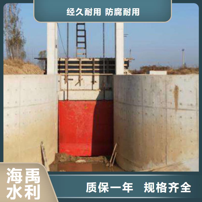 江门pgz铸铁闸门专心专注专业免费寄样