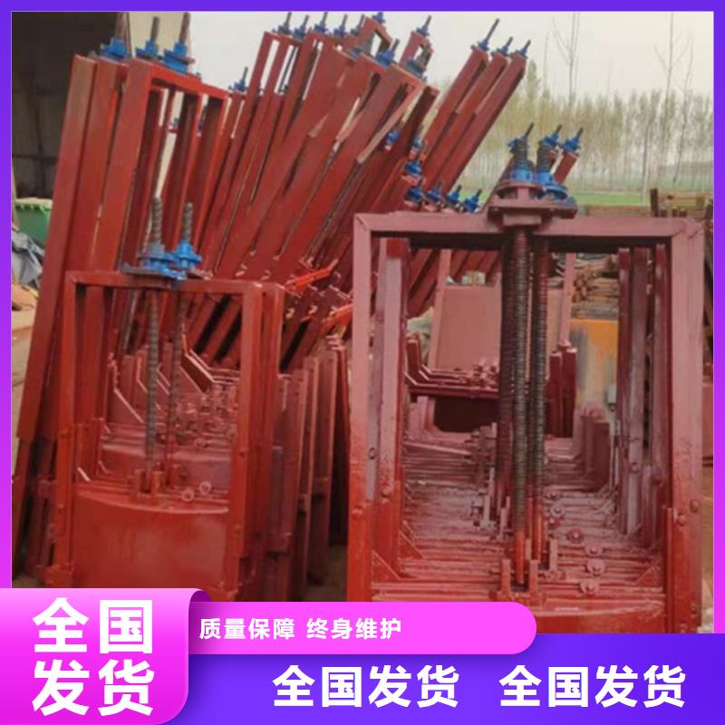 上饶pgz铸铁闸门支持拿样同城公司