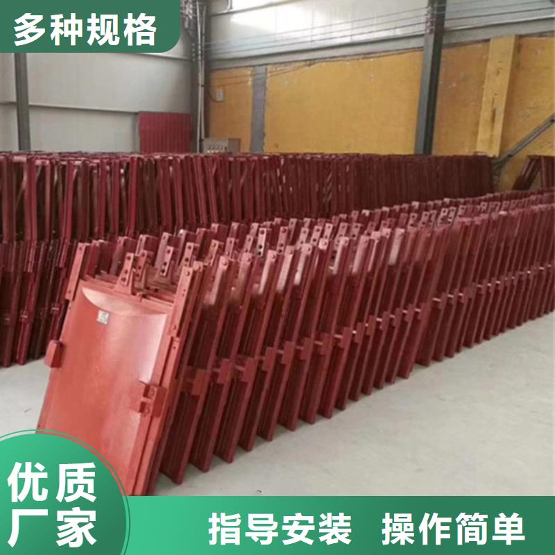 鑲銅鑄鐵閘門精工細作品質優良當地制造商