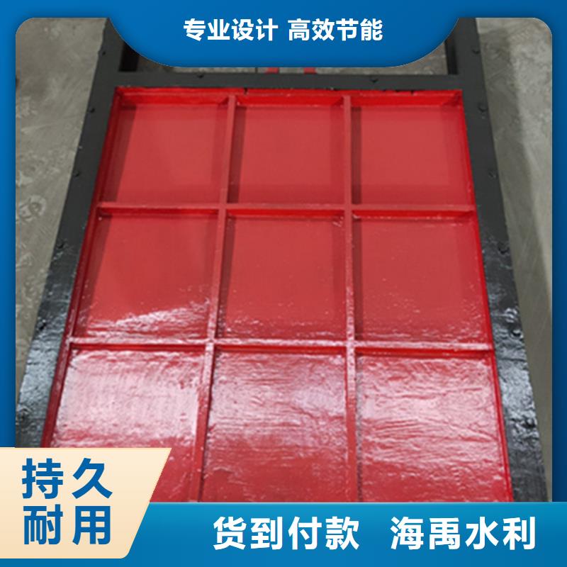 pgz铸铁闸门支持拿样好货有保障