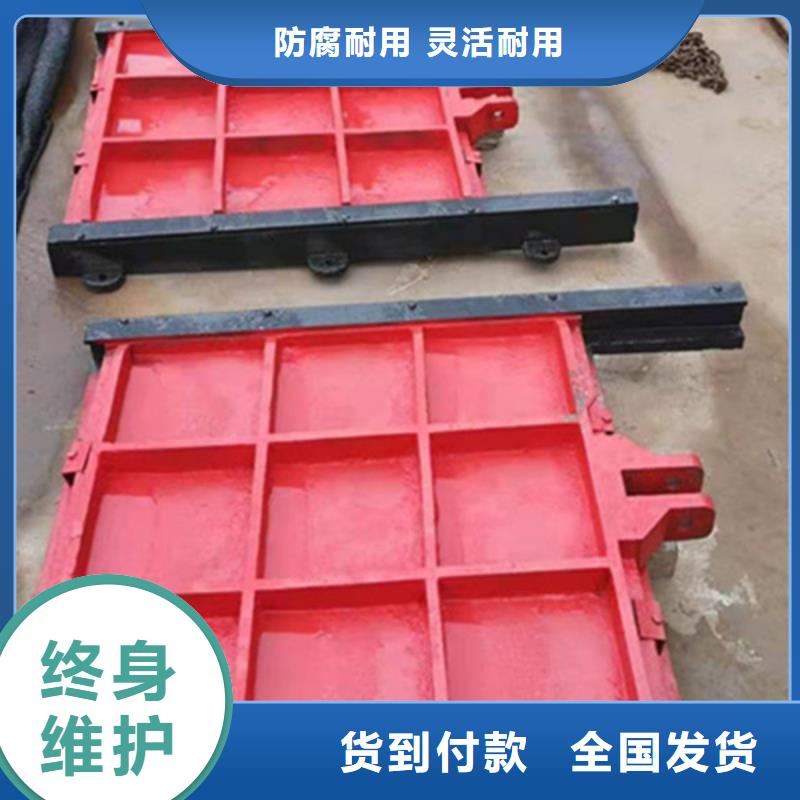 江蘇雙止水鑄鐵閘門(mén)產(chǎn)品細(xì)節(jié)參數(shù)我們更專業(yè)