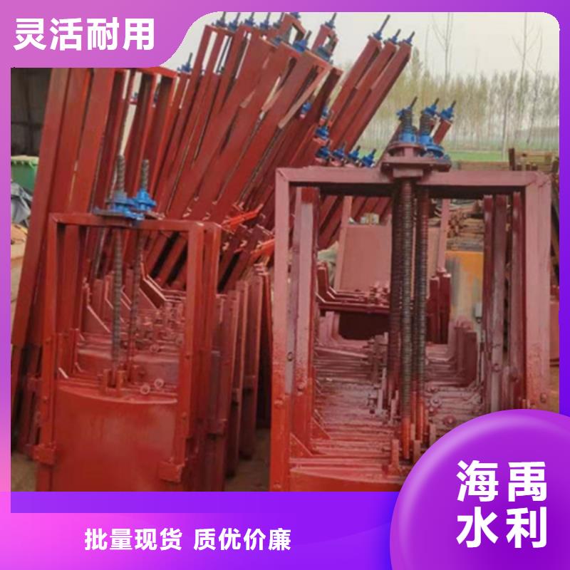 怒江泵站铸铁闸门来图同城厂家