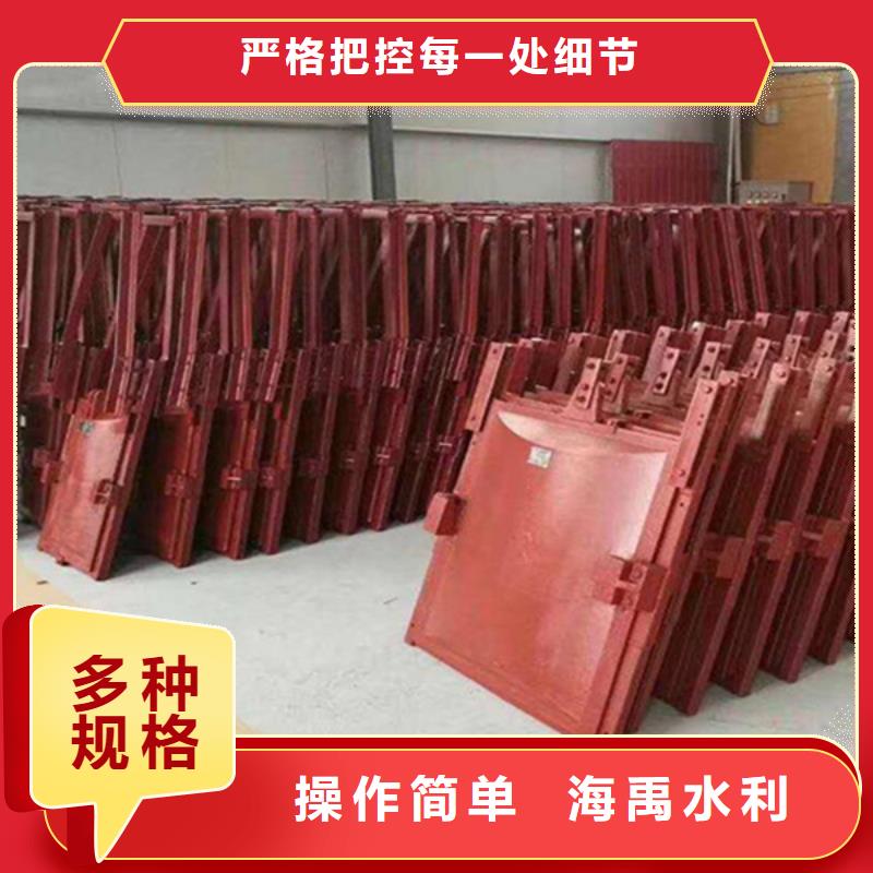 启闭机闸门一手货源本地生产商
