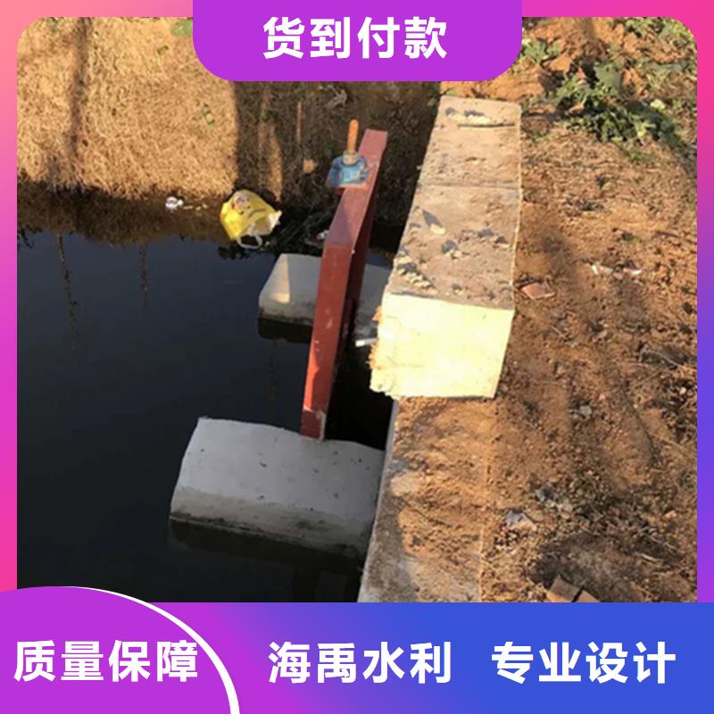 露顶式铸铁闸门一站式本地货源