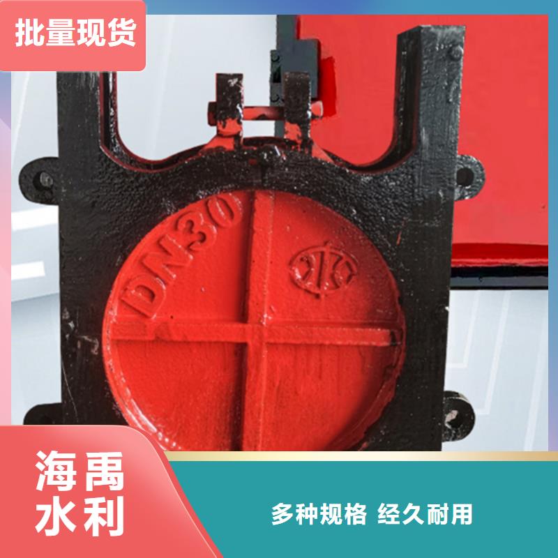 北京铸铁机门一体闸门批发精心