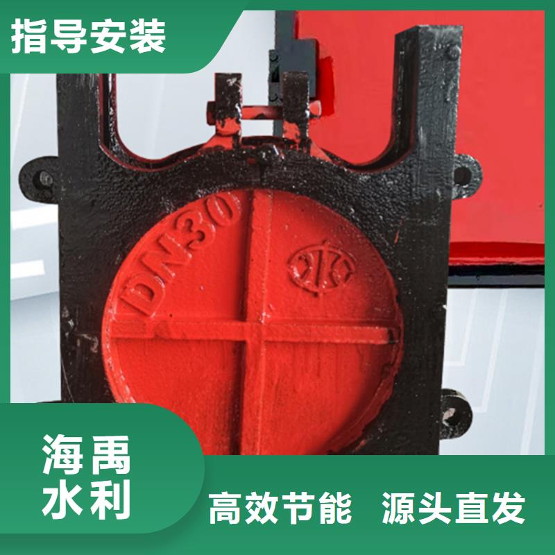 龍巖鑄鐵機門一體閘門低價貨源極速發貨