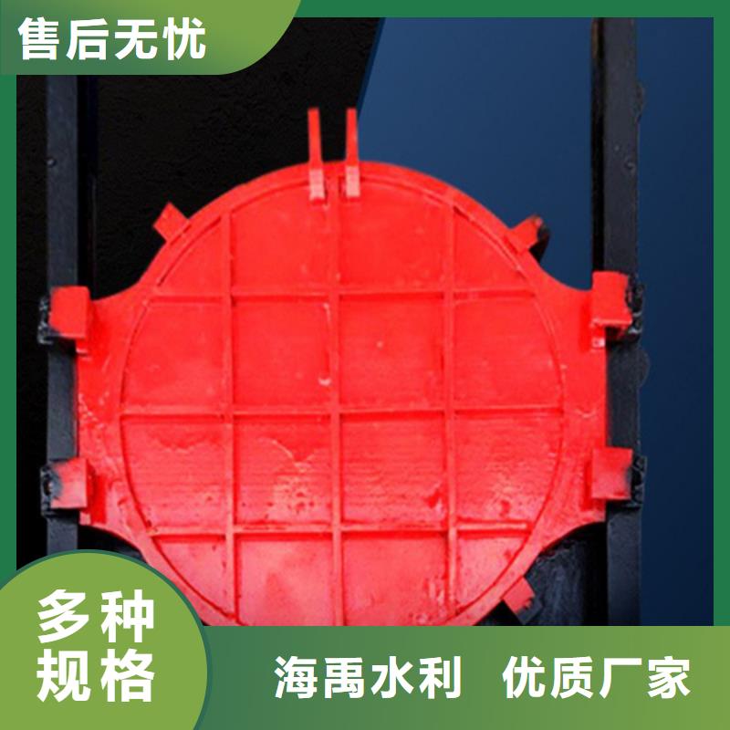 湘潭铸铁机门一体闸门品质之选本地服务商