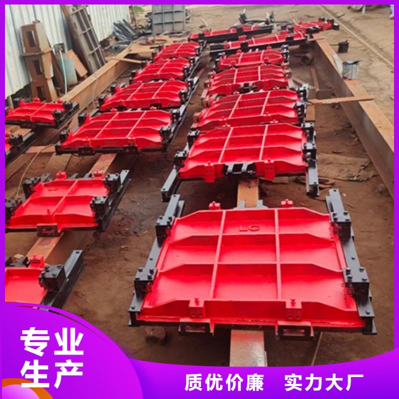 泰安鑄鐵機(jī)門一體閘門實力直銷質(zhì)保一年