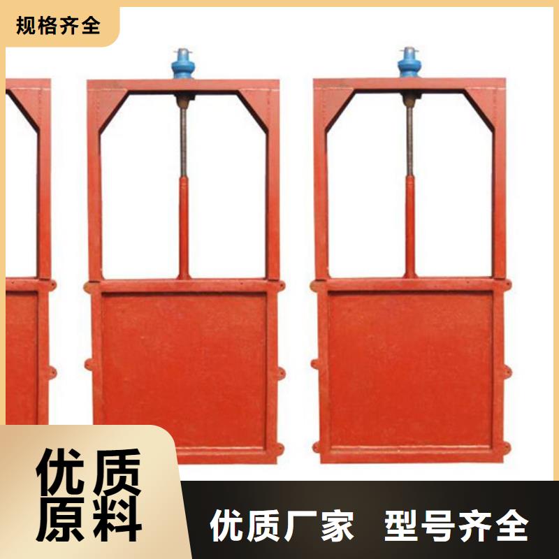 拱形铸铁闸门精工细作品质优良实力派厂家