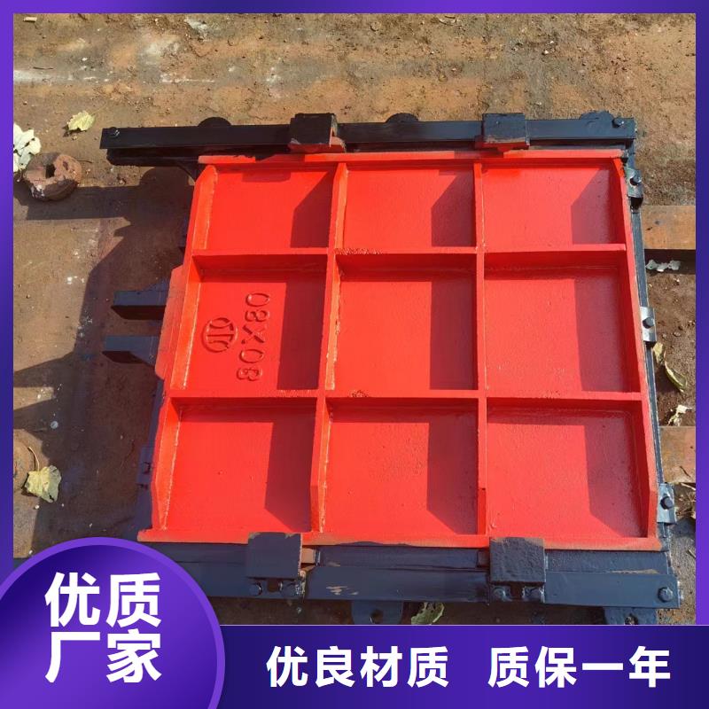 深圳pgz鑄鐵閘門實力直銷多種工藝