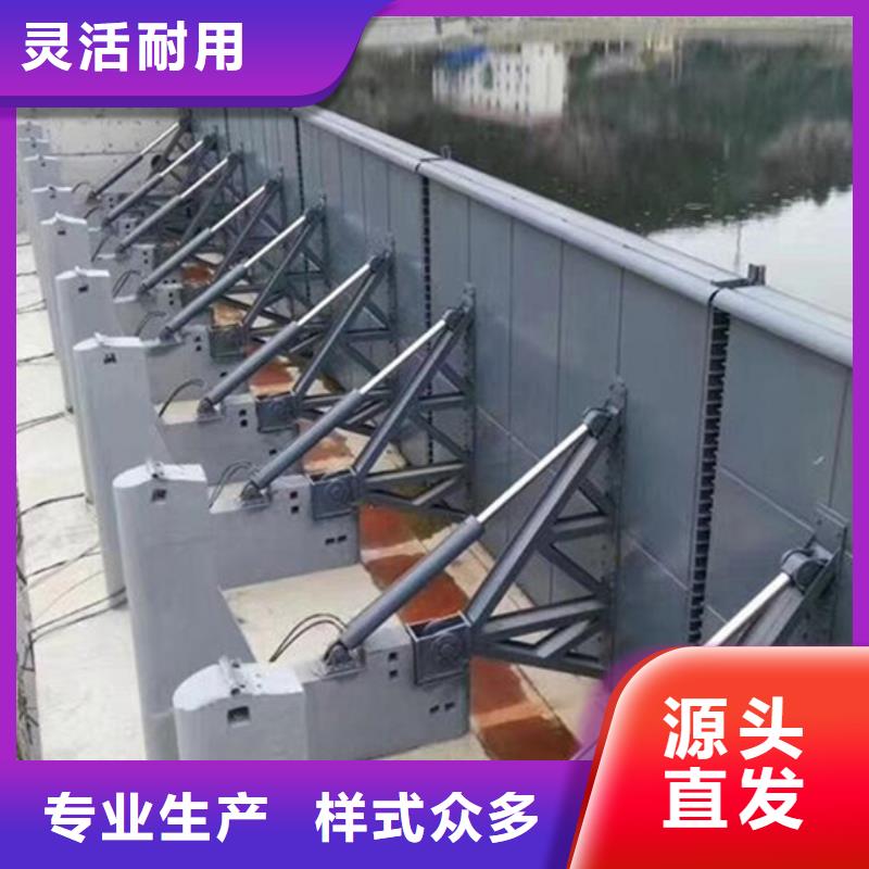 钢坝闸直销本地公司