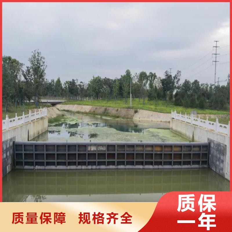 液壓鋼閘門專業(yè)按需廠家案例