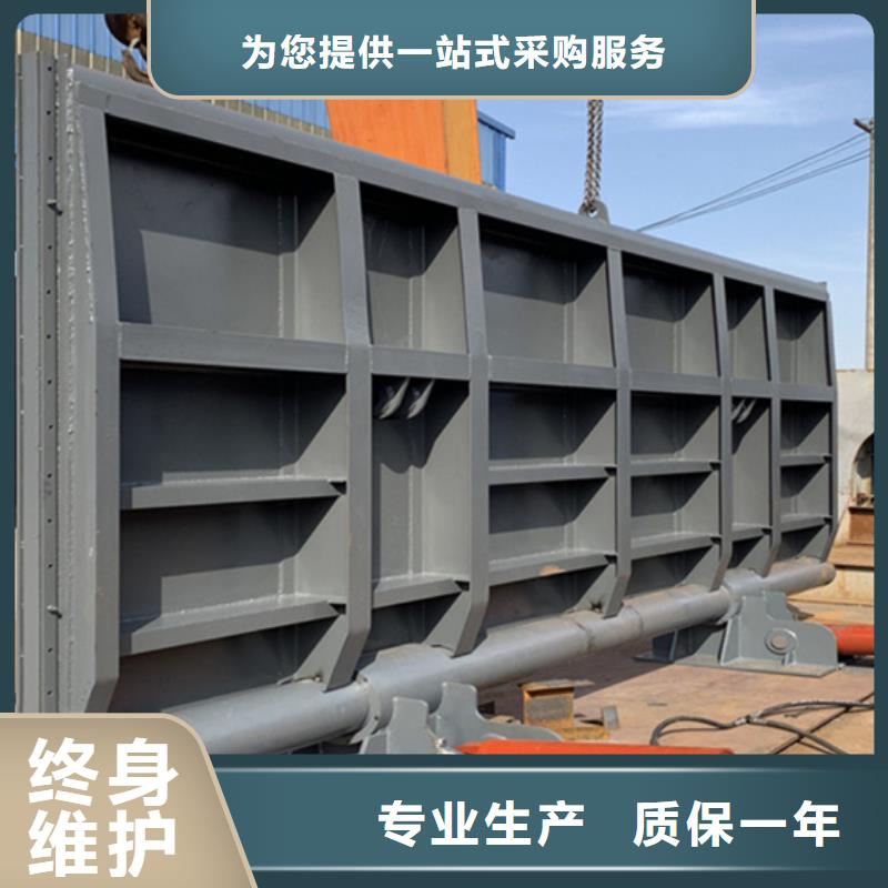 底橫軸鋼壩工廠直營現(xiàn)貨直供