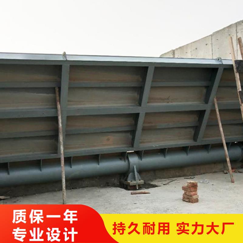 平板钢闸门敢与同行比质量不断创新