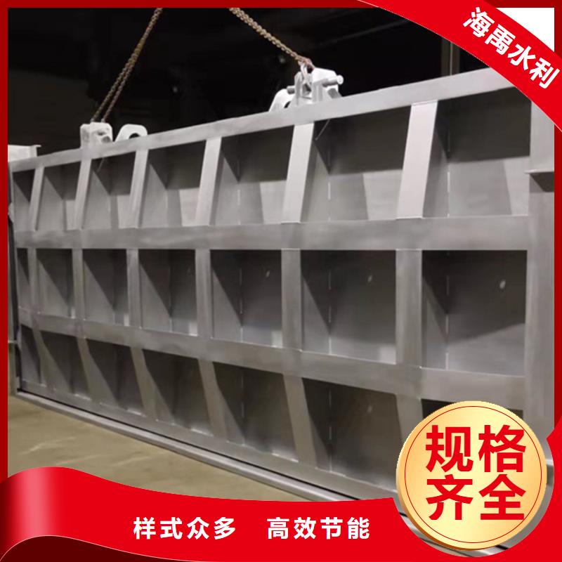 鋼閘門源頭直銷當地生產商